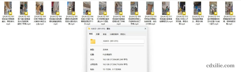 XLBCD（001-015）合集介绍图