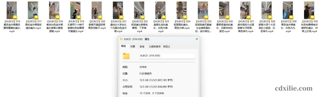 XLBCD（016-030）合集介绍图