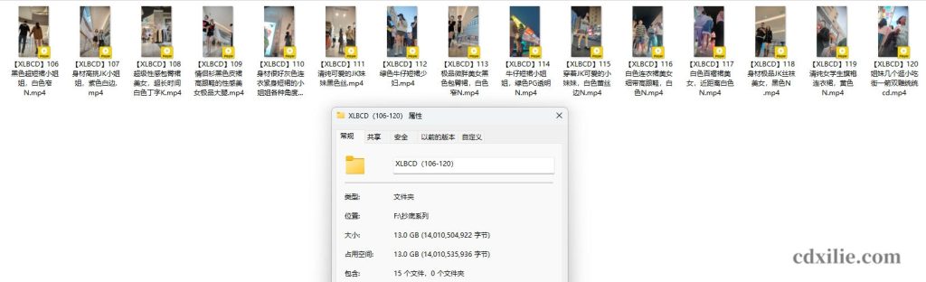 XLBCD（106-120）合集介绍图