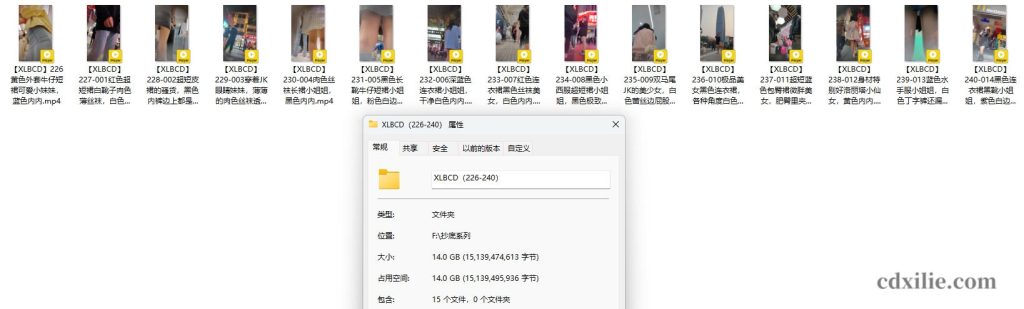 XLBCD（226-240）合集介绍图