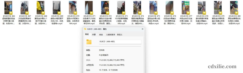 XLBCD（466-480）合集介绍图